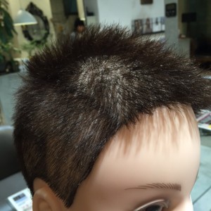 11.3ウィッグ側頭部