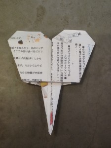 11.6新聞イチョウ