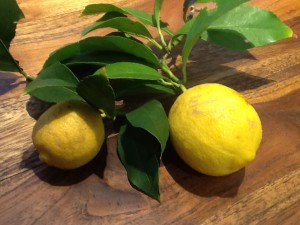 レモン