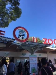 zoo