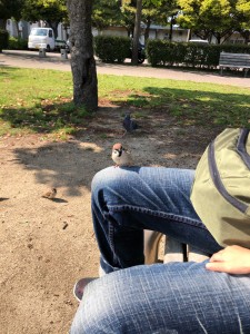 miteneB6B2FC81-0E10-4BBB-BA01-16B3784F3A9A