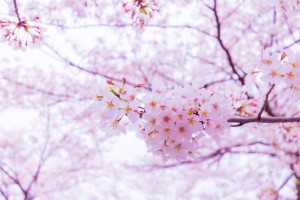 image1 - 2022-03-25T154312.419