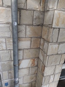 IMG_20220410_093534835  1