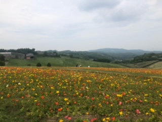 image0 - 2022-05-31T101129.466