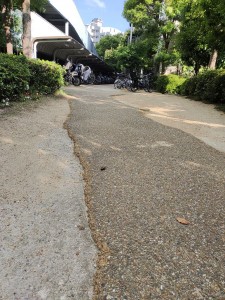 IMG_20220729_165520228 1