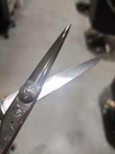 IMG_20230204_131548427