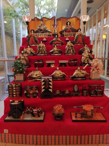 IMG_20230222_145227199