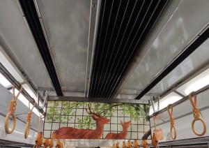 IMG_20230606_075101927~2