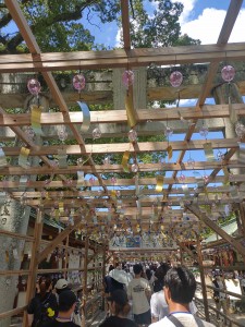 IMG_20230805_133219669 1