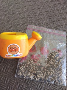 IMG_20230809_114526859