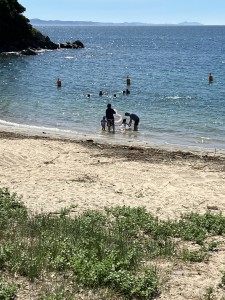 mitene11CBB942-F514-4CE9-9047-3A631B8231A0