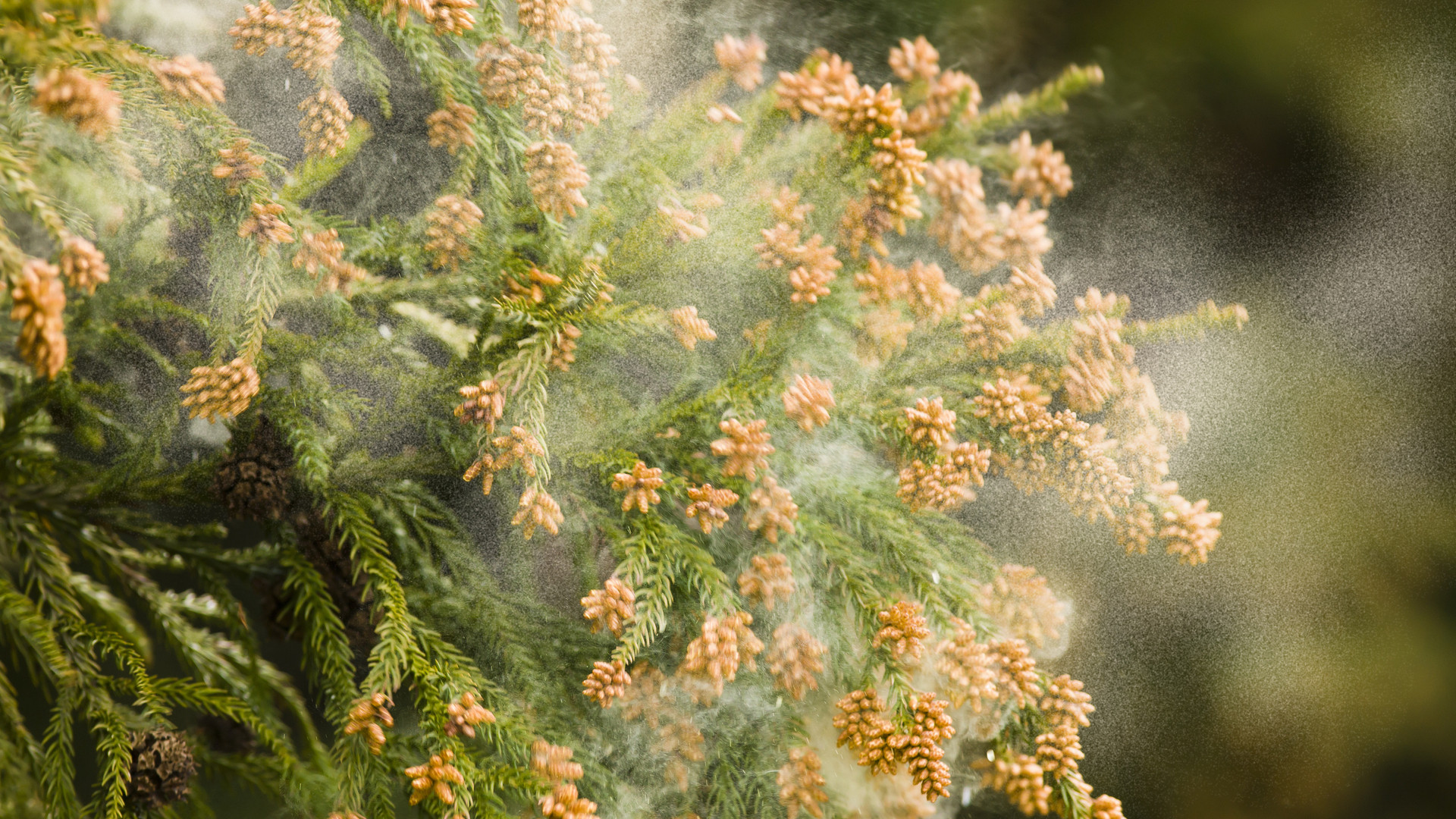 image1 - 2024-02-11T121426.789