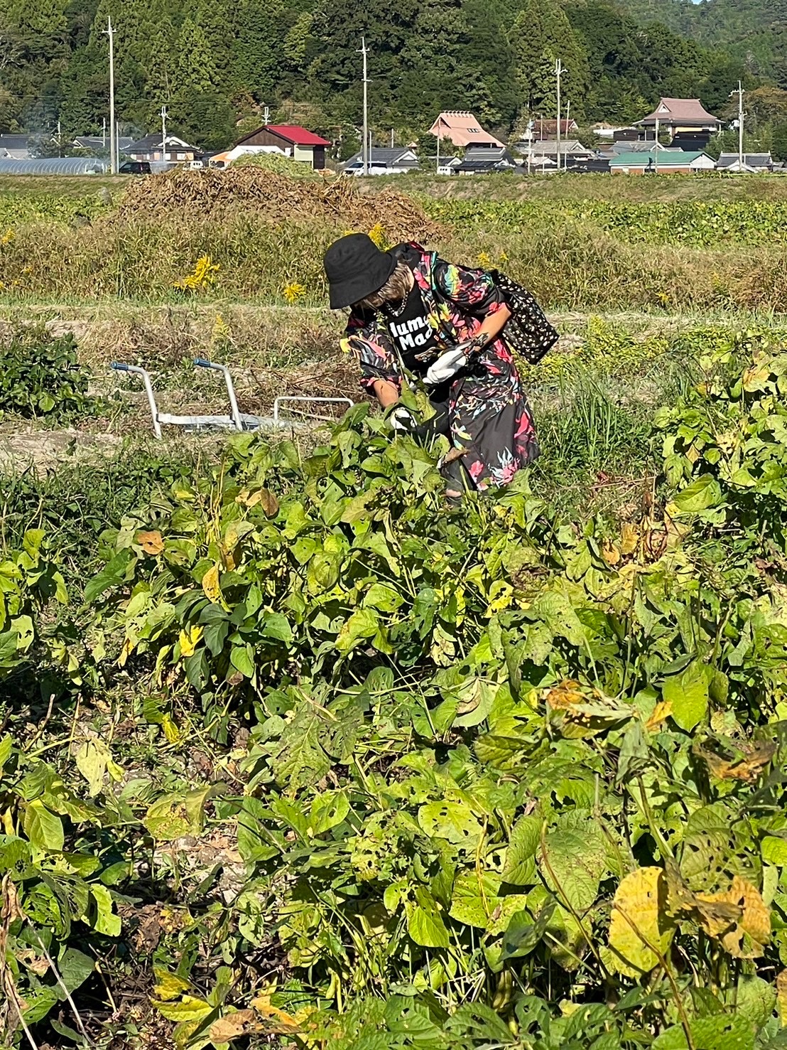 image1 - 2024-10-23T151522.016