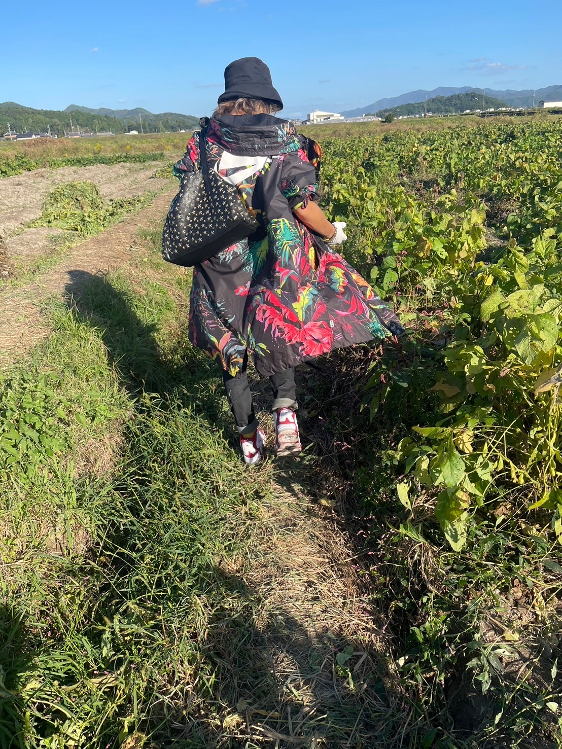 image2 - 2024-10-23T151523.653