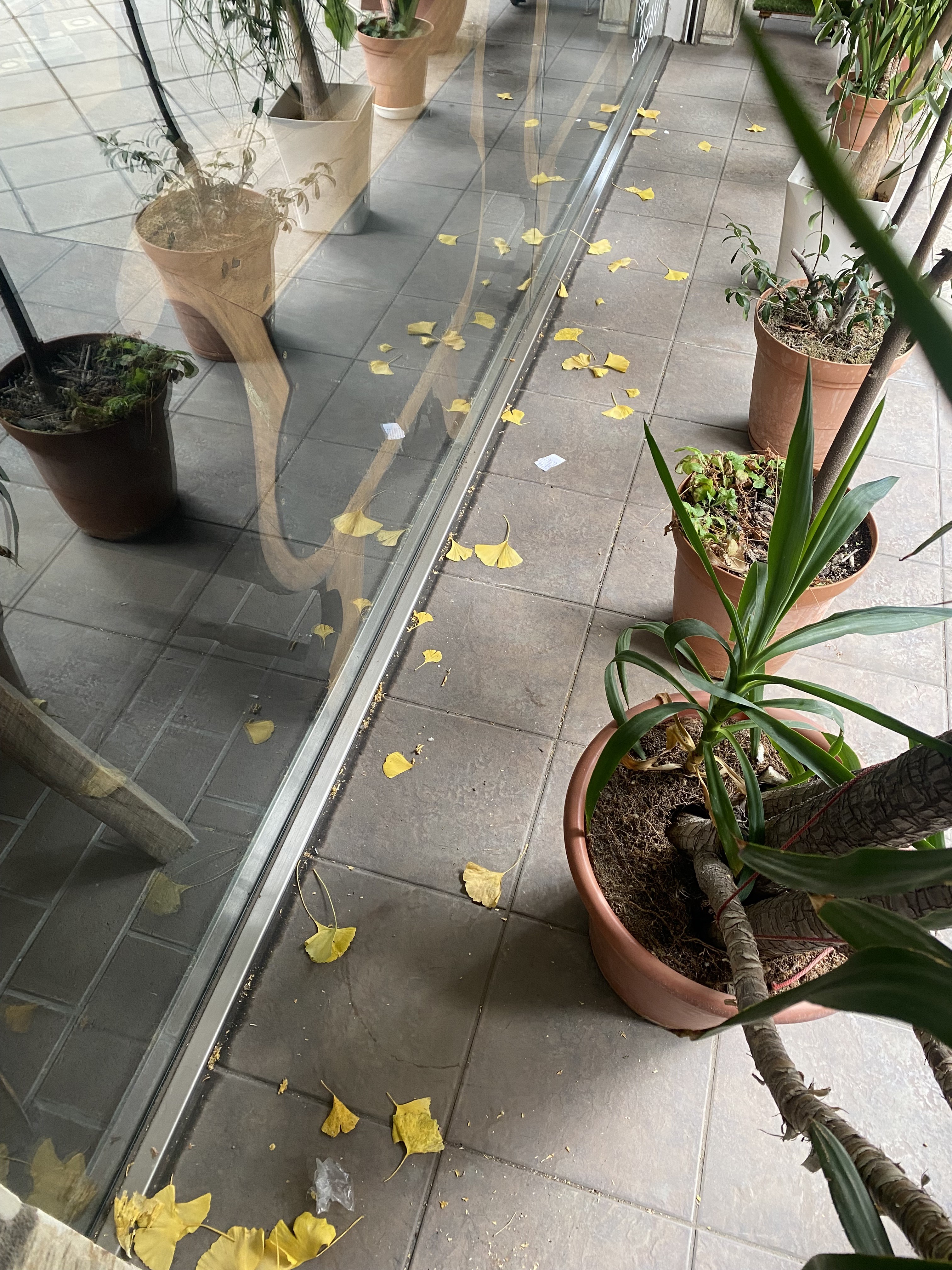 image0 - 2025-12-17T102217.245