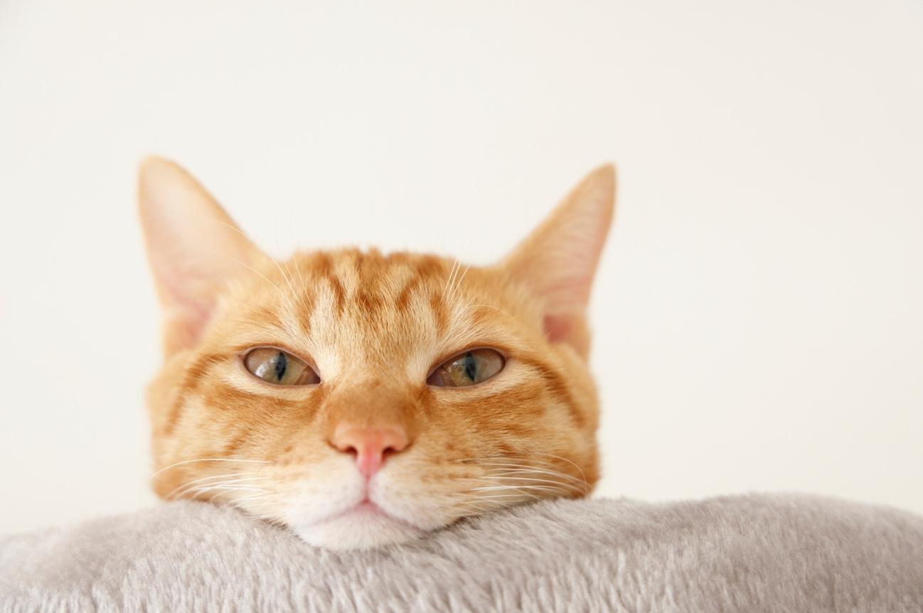 image0 - 2026-02-15T115613.291